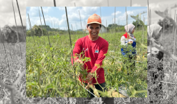 Perjalanan Kebun Choirul: Diterjang Banjir, Bangkit dengan Energi Terbarukan