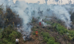 Cegah Karhutla Meluas, DLH Bulungan Minta Warga Tak Bakar Lahan Sembarangan