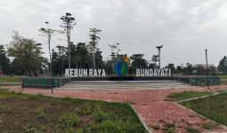 DLH Bulungan Perkuat Pengawasan Kebun Raya Bunda Hayati, Lindungi Koleksi Tanaman Konservasi