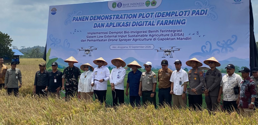 Panen Demplot Padi LEISA dan Digital Farming di Kecamatan Anggana, Kukar. Foto: Selasar/Boy