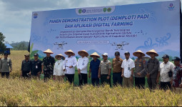 Sinergi Digital Farming BI Kaltim: Hasil Panen Padi Melonjak Hingga 6,5 Ton Per Hektare