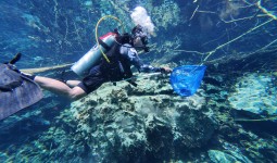 Gamalis Apresiasi BUMK Turun Tangan Bersihkan Sampah di Wisata Labuan Cermin