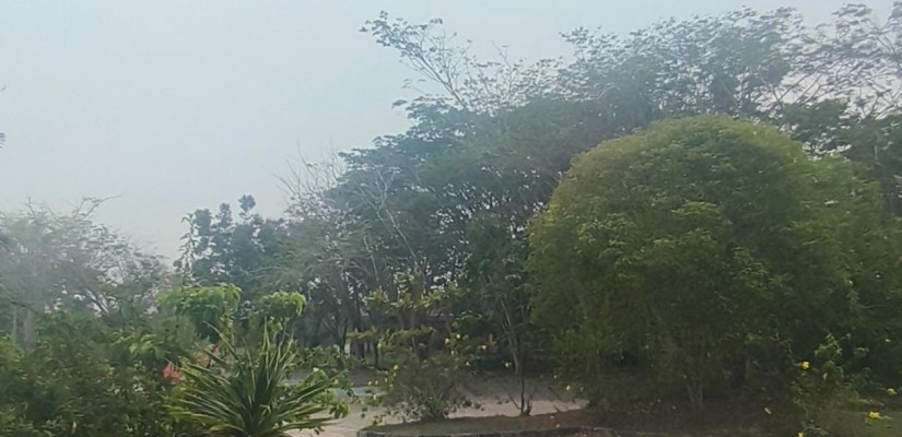 Kondisi PPU siang hari dipenuhi asap. (Nelly/Selasar.co)