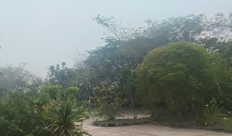 Kualitas Udara PPU Memburuk, DLH Imbau Warga Pakai Masker dan Kurangi Aktivitas Luar Ruangan